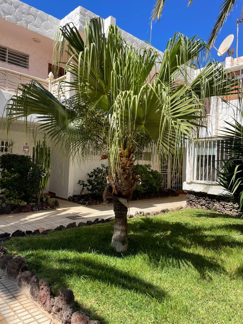 Apartment for sale in  El Chaparral, Costa del Silencio, Spain - TRC-1780