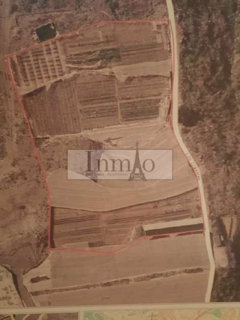 Agricultural land for sale in  El Pozo, Spain - 365645