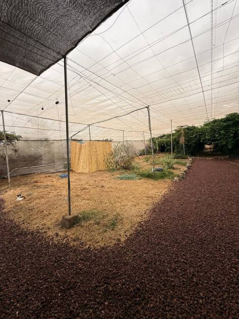 Agricultural land for sale in  Guía de Isora, Spain - TR-2996