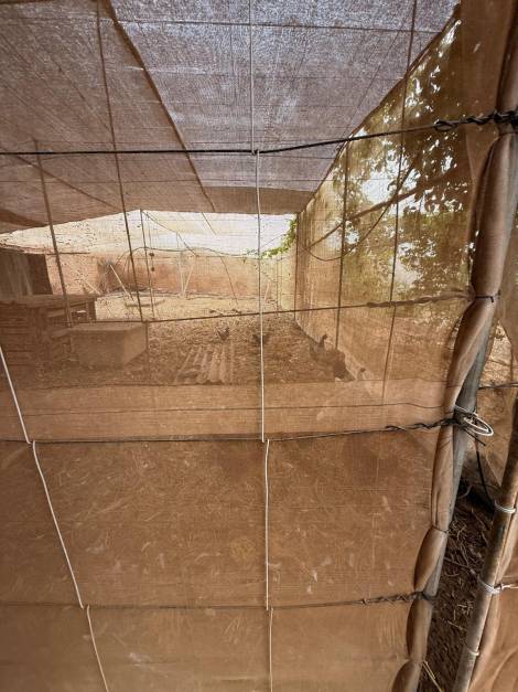 Agricultural land for sale in  Guía de Isora, Spain - TR-2996