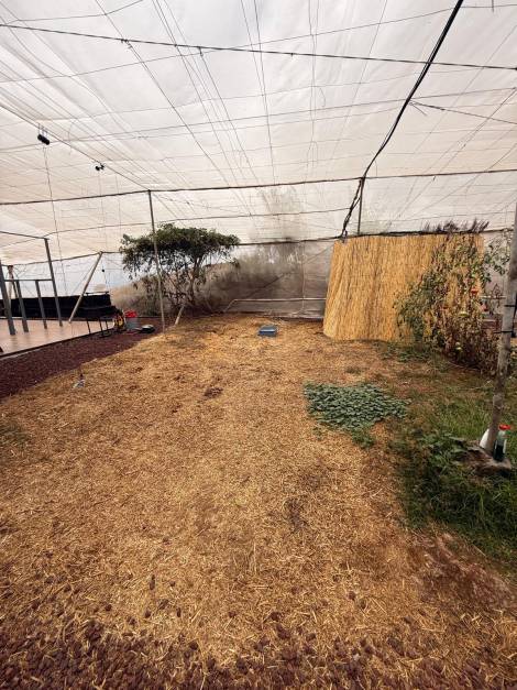 Agricultural land for sale in  Guía de Isora, Spain - TR-2996