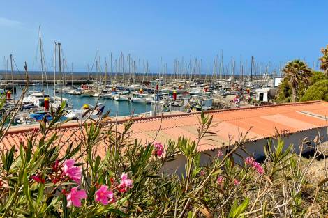 Apartment for rent in  Pinehurst, Santa Cruz de Tenerife, Spain - TRV-150