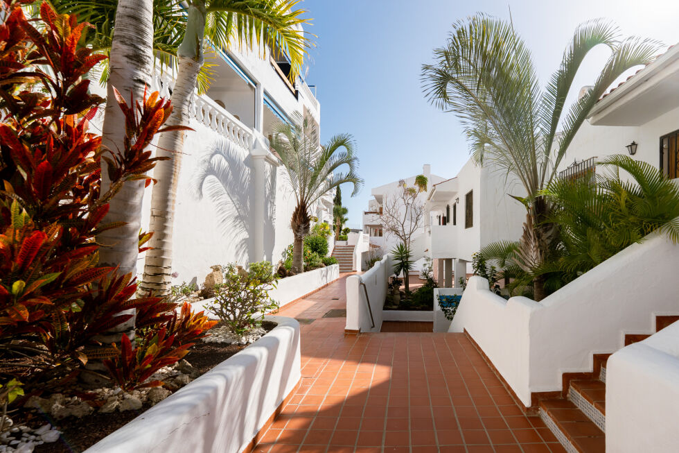 Apartment for rent in  Los Cristianos, Spain - TRV-179