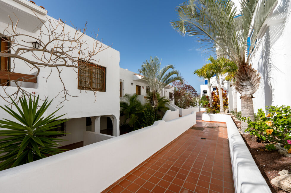 Apartment for rent in  Los Cristianos, Spain - TRV-179