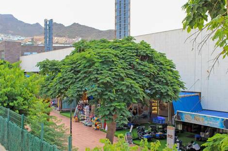 Apartment for sale in  Adeje, Spain - LWP6074 Castalia Park - Costa Adeje