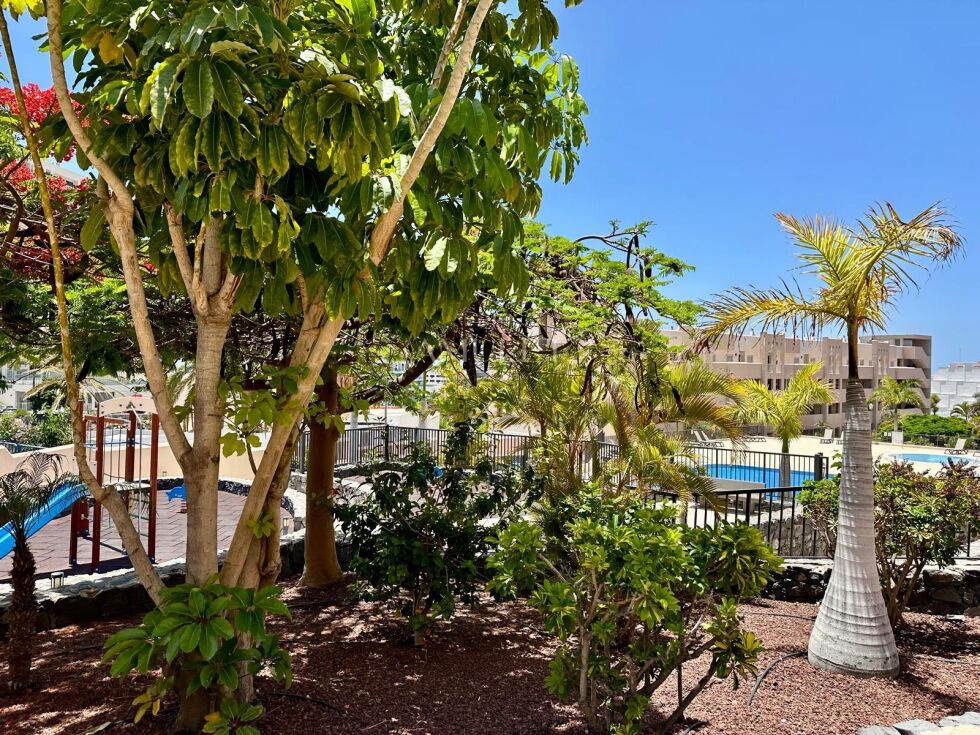 Apartment for sale in  Adeje, Spain - P2515