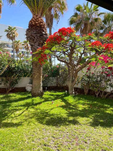 Apartment for sale in  Arona, Spain - LWP4996 Parque Santiago 1- Las Americas