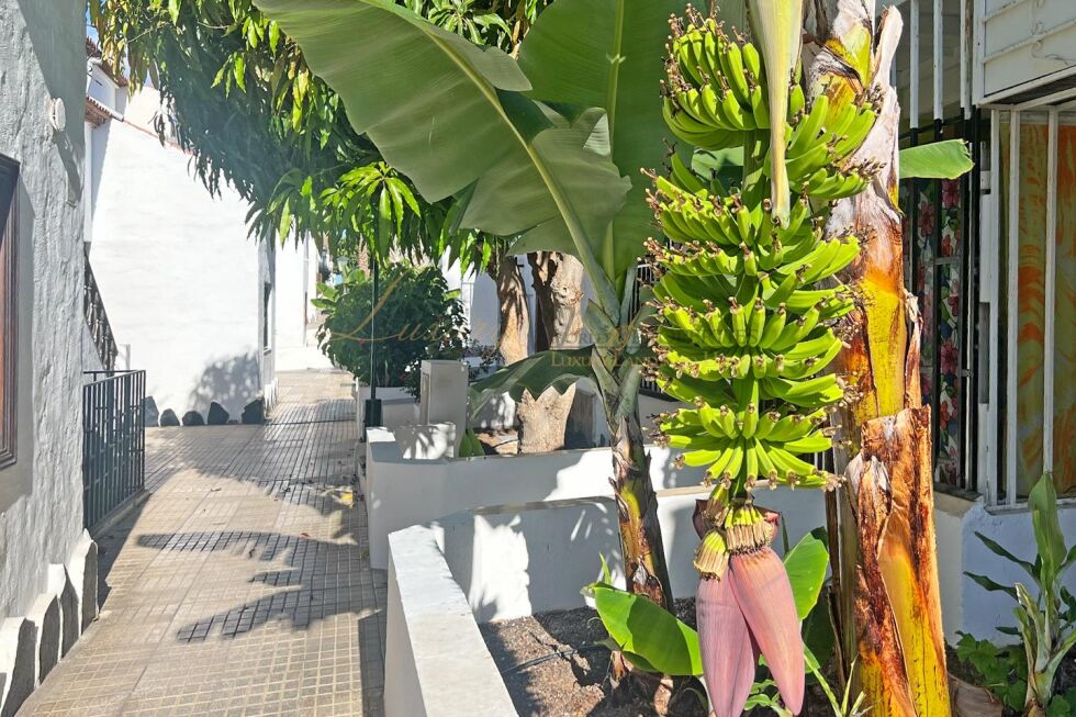 Apartment for sale in  Arona, Spain - LWP7067 Chayofita - Costa del Silencio