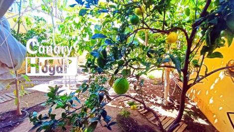 Apartment for sale in  Costa Adeje, Spain - 057411