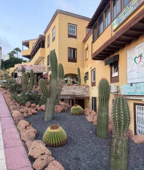 Apartment for sale in  Costa Adeje, Spain - 5864