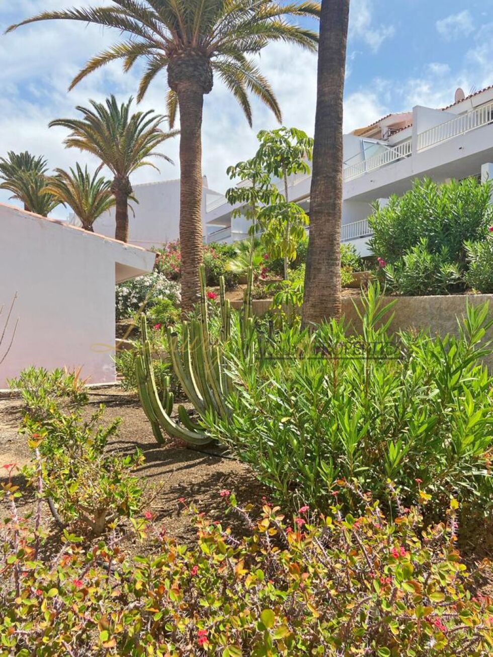 Apartment for sale in  Costa Adeje, Spain - LWP7122L Paradero 1-Playa de las America