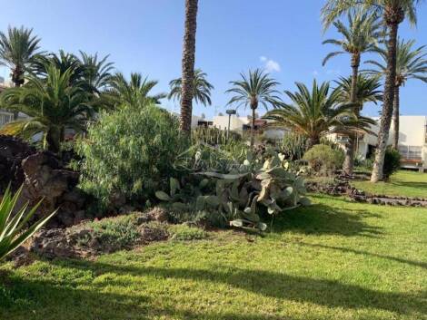 Apartment for sale in  Costa del Silencio, Spain - 5963