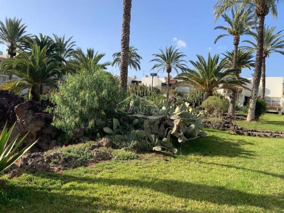 Apartment for sale in  Costa del Silencio, Spain - 5963