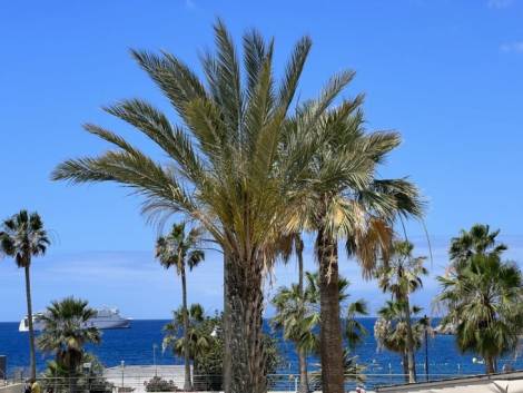 Apartment for sale in  Costamar, Arona, Spanyolország - TRC-2637