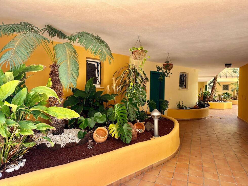 Apartment for sale in  Los Cristianos, Spain - P2499