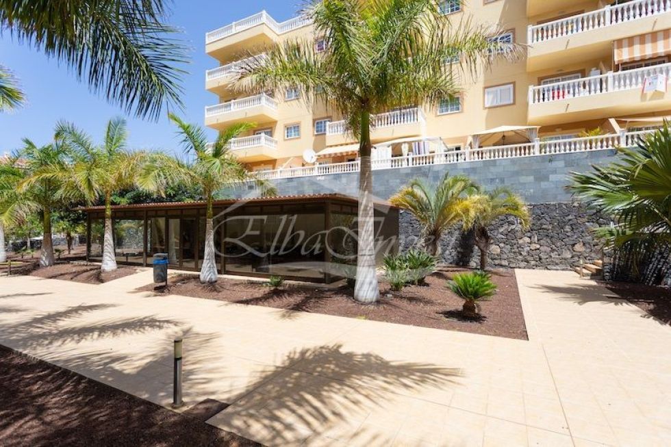 Apartment for sale in  Palm-Mar, Spain - 5495