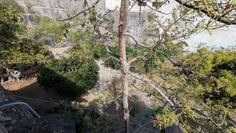 Apartment for sale in  San Miguel, Spain - 5946