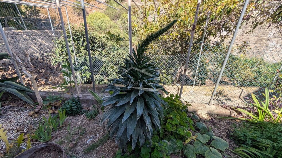 Apartment for sale in  San Miguel, Spain - 5946