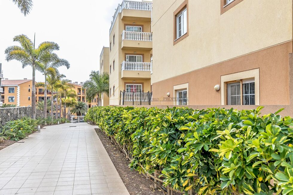Apartment for sale in  Palm-Mar, Spain - LWP7006 Primavera - Palm Mar