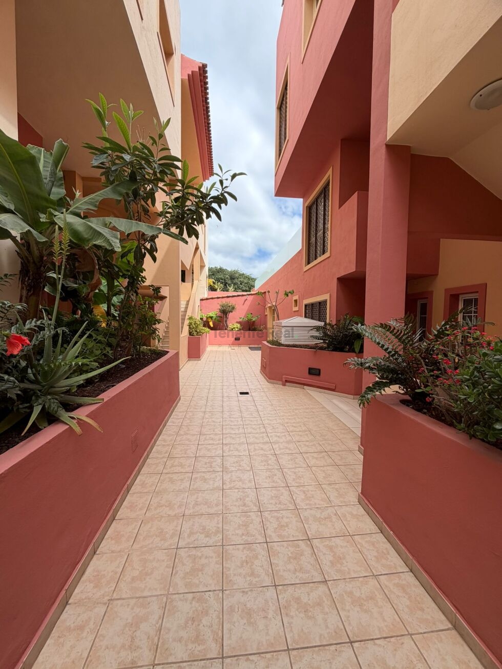 Apartment for sale in  Terrazas del Duque, Costa Adeje, Spain - TR-3039