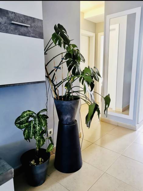 Apartment for sale in  Los Altos del Roque, Costa Adeje, Spain - TRC-2848