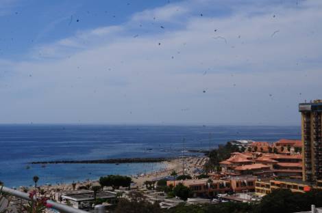 Apartment for sale in  Edificio Primavera, Los Cristianos, Spain - TRC-3019