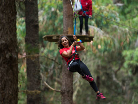 Forestal Park