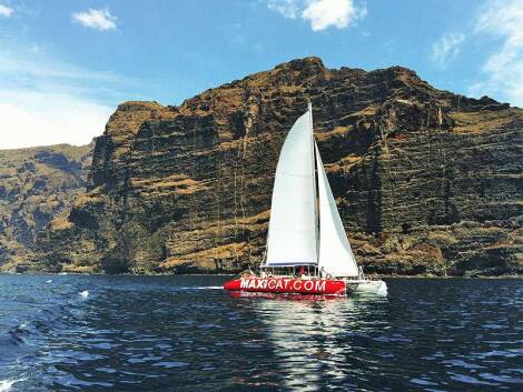 Maxicat Catamaran