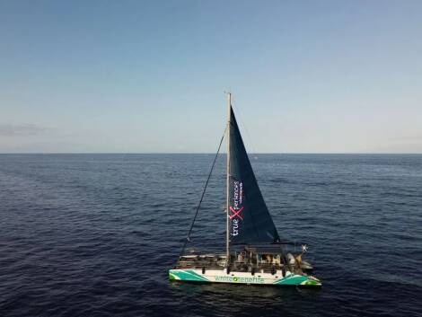 White Tenerife: Eco Catamaran