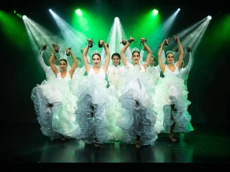 Olé Flamenco Show