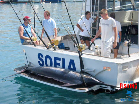 Yate Sofía Big Game Fishing