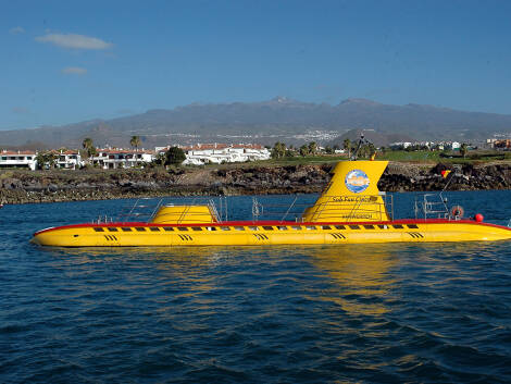 Submarine Safari
