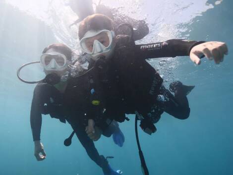 Big Fish Diving