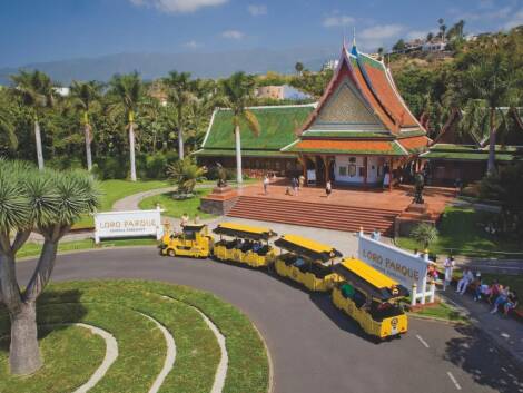 Loro Parque: All Inclusive Ticket