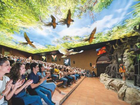 Loro Parque: Entrance and transfer from Tenerife South