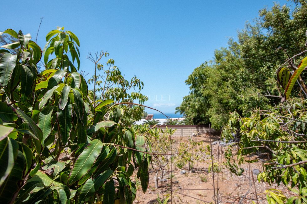 Bungalow for sale in  Adeje, Spain - P2539