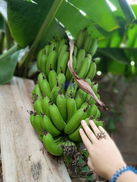 Duplex for sale in  Arona, Spain - 24278