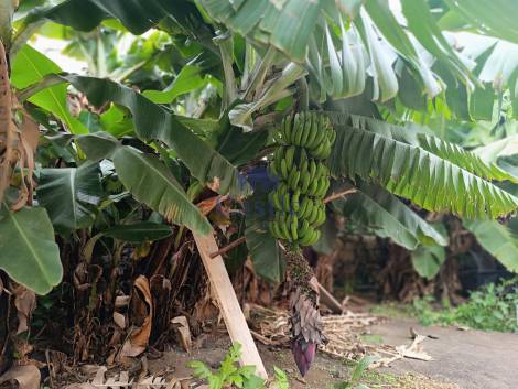 Duplex for sale in  Arona, Spain - 24278