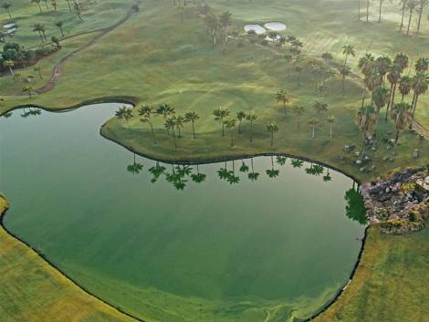 Duplex for sale in  Agua Dulce, Spain - LWP2945 Los Jardines de Abama