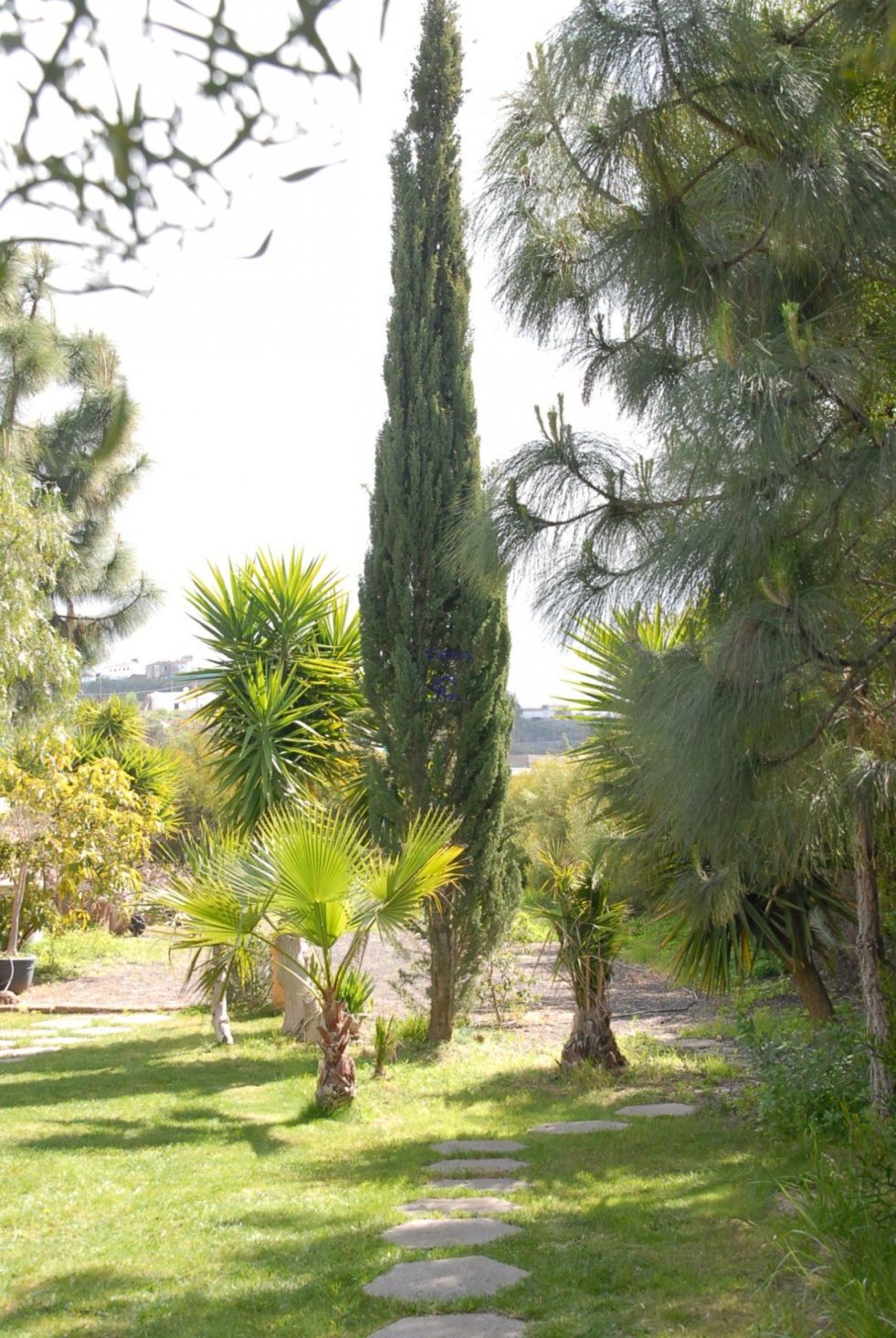 Independent house for sale in  Adeje, Spain - 039461