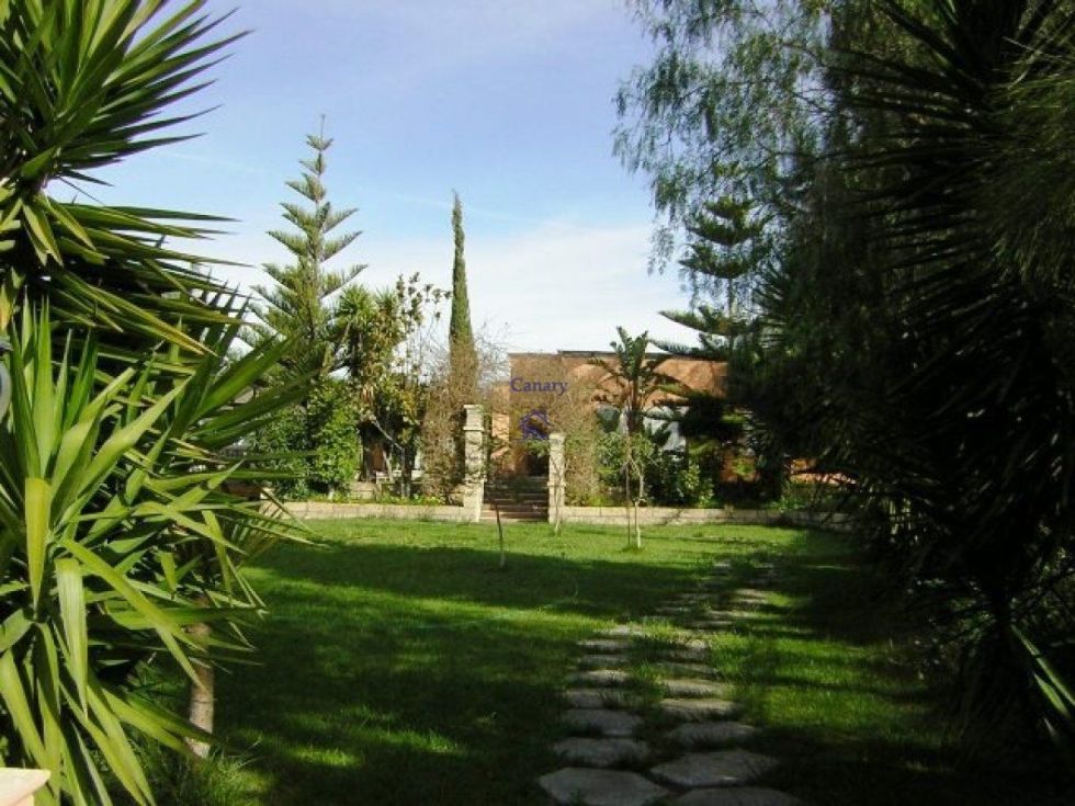 Independent house for sale in  Adeje, Spain - 039461