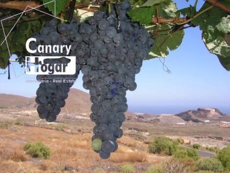 Independent house for sale in  Aldea Blanca, Spain - 053251