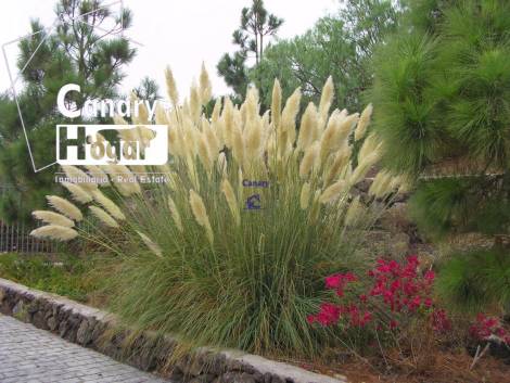 Independent house for sale in  Aldea Blanca, Spain - 053251