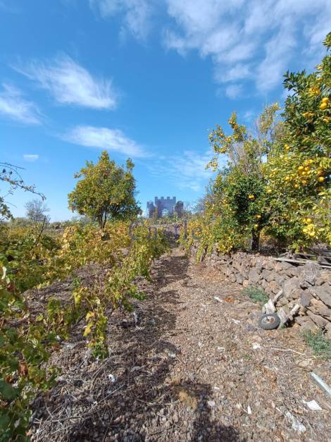 Independent house for sale in  Guía de Isora, Spain - 24381