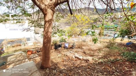 Independent house for sale in  Barranco de las Torres, Spain - 053321