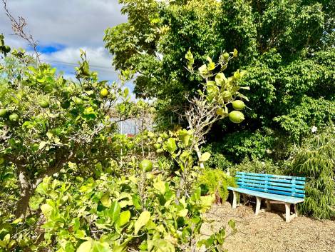 Independent house for sale in  Oroteanda Baja, Spain - P2406