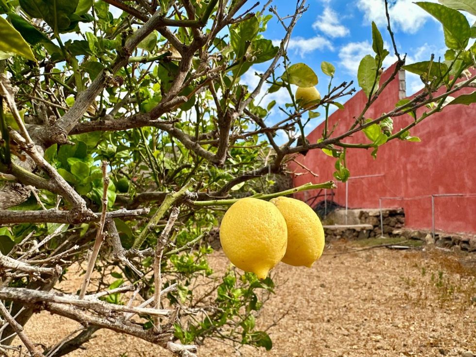 Independent house for sale in  Oroteanda Baja, Spain - P2406