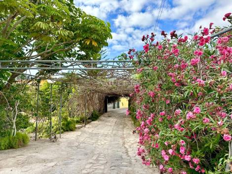 Independent house for sale in  Oroteanda Baja, Spain - P2406