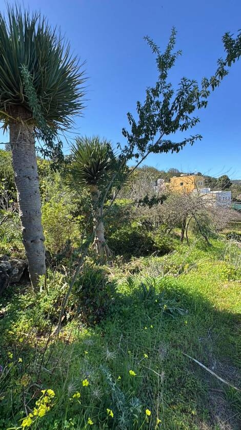 Independent house for sale in  Icod de los Vinos, Spain - TR-3041
