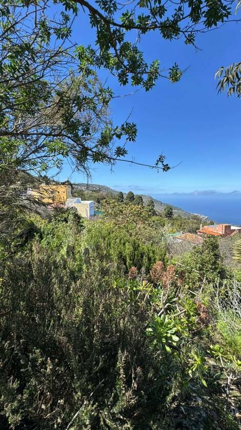 Independent house for sale in  Icod de los Vinos, Spain - TR-3041